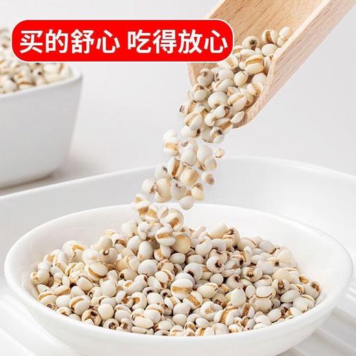 豫粮优选·五谷粮品大薏米500g  光洁饱满 碎粒少 口感柔软 商品图1