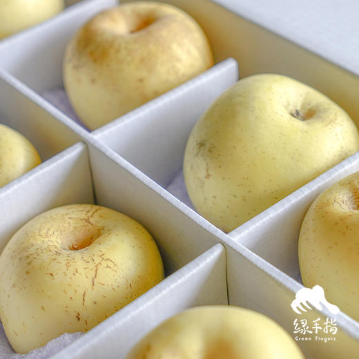 生态红富士苹果（烟台） | 合作生产*Ec0-Yantai red Fuji Apple|  Partner Production 商品图3