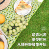 ⛺春游露营野餐必备！凯速KANSOON | 便携防水防潮野餐垫 商品缩略图4