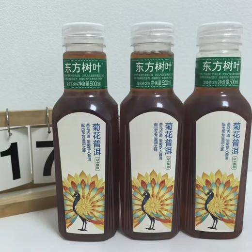 农夫 东方树叶 菊花普洱茶 500ml*15 商品图0