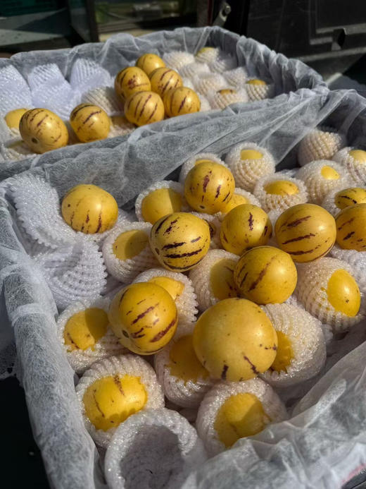 宏丰精选 七彩人参果 黄肉  水份足，口感很好，活动价9.9元一斤 商品图5