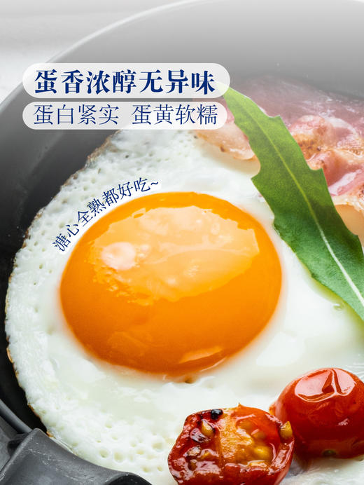 聚便利 X 山姆 Member's Mark 精选鲜鸡蛋 1.59kg（30枚） 商品图2