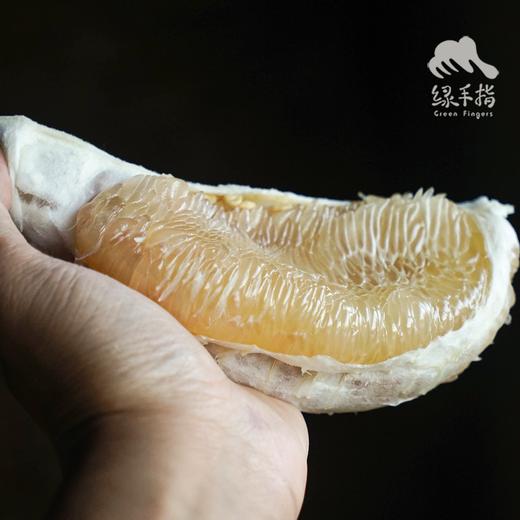 生态柚子（邮政快递） | 合作生产*Ecological pomelo | Partner Production 商品图4