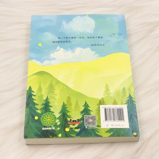 一片小树林 商品图2