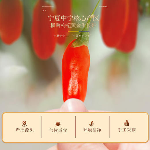 福东海 红黑枸杞原浆礼盒1800ml（月套餐60袋）早上红晚上黑 宁夏中宁头茬红枸杞水青海黑枸杞原汁液礼物送长辈 商品图9