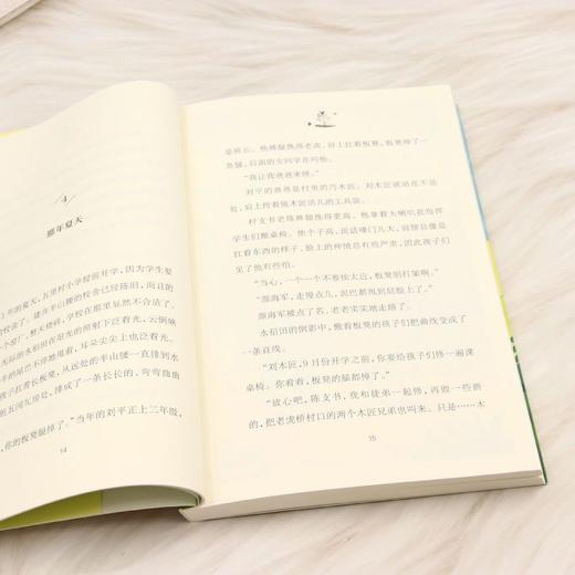 一片小树林 商品图4