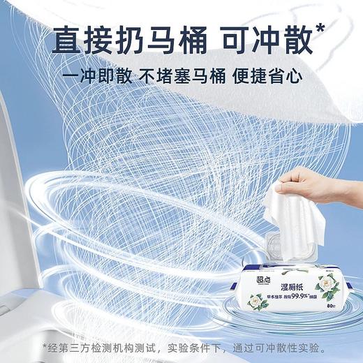 【湿厕纸】湿擦不易掉絮   擦除99.9%细菌 直接扔马桶可冲散 预售5天 商品图9