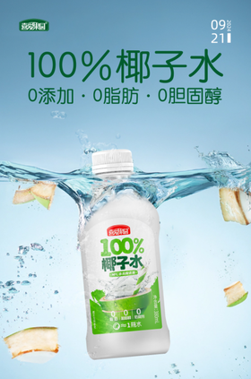 【久】喜爱果园 NFC椰子水380ml*15瓶/箱