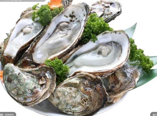 生蚝19.9元一份（每份15个） 商品图0