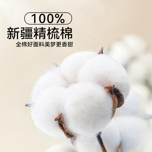 多喜爱 净棉鸿运春秋被【A类100%新疆棉面料】【十孔纤维填充更透气更保暖】 商品图1