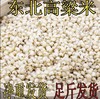 豫粮优选·五谷粮品白高粱米1500g  色泽光亮 颗粒饱满 商品缩略图1