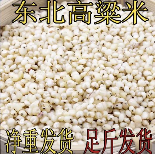 豫粮优选·五谷粮品白高粱米1500g  色泽光亮 颗粒饱满 商品图1