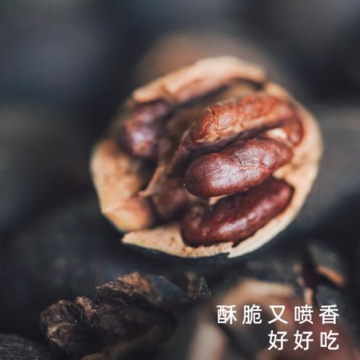 【外面买不到系列】2026饱记·临安山核桃 第十二年 焦香松脆，自然原味 商品图3