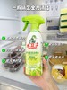 2月9号停发【水卫士多功能清洁喷雾】青椰泡弹，温和清洁不伤手！释放植萃源力，除污除菌让家居环境焕然一新！！一喷一擦，轻松搞定全屋清洁， 可清洁餐桌、冰箱、微波炉  0130 商品缩略图1