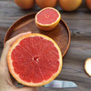 福建红心西柚 现摘现发红肉爆汁 当季自然成熟水果 商品缩略图2