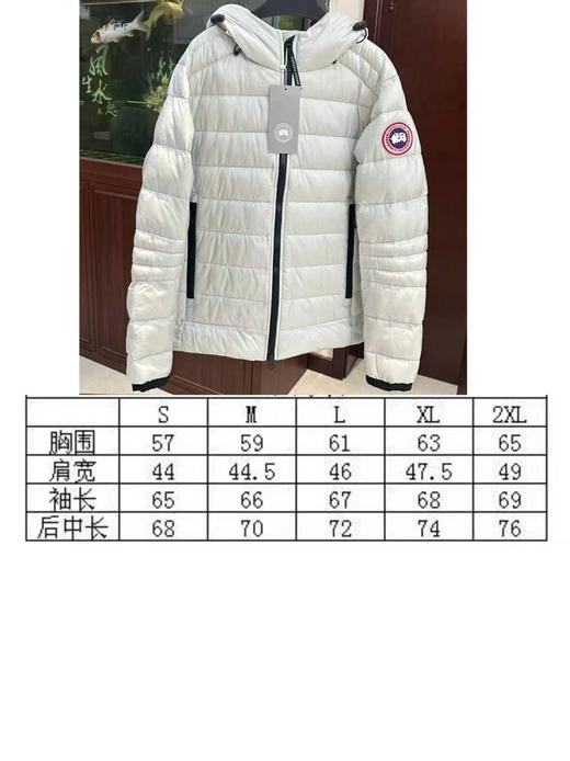 D111971轻盈保暖柔软排骨款90白鸭绒羽绒服 商品图8