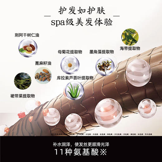 PHARMA21发玛21固韧丰盈护发精华乳600ml/110384 商品图2