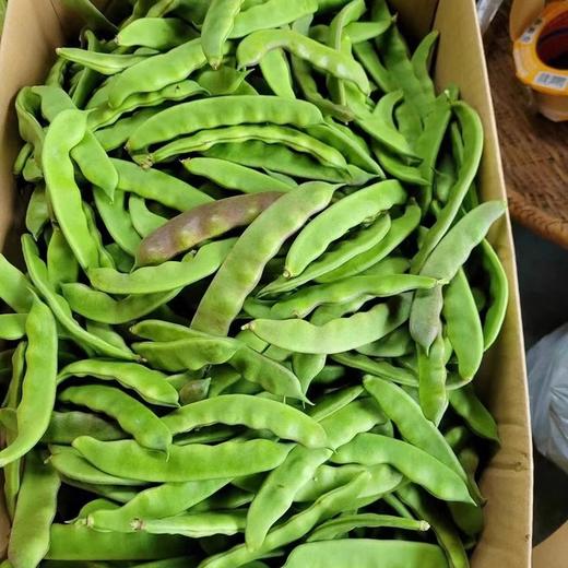 云南高山油豆角 现摘现发新鲜嫩荚 当季应季蔬菜 商品图3