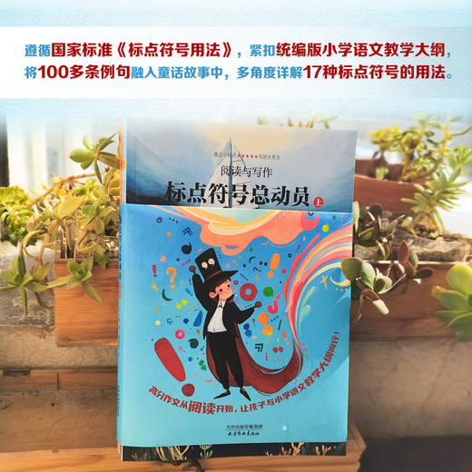 标点符号总动员（全2册） 商品图5