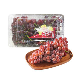 MM 山姆 克瑞森葡萄 1.4kg