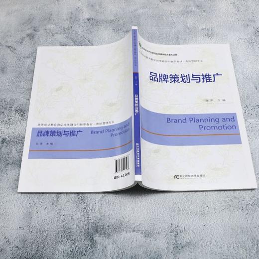 品牌策划与推广 商品图3