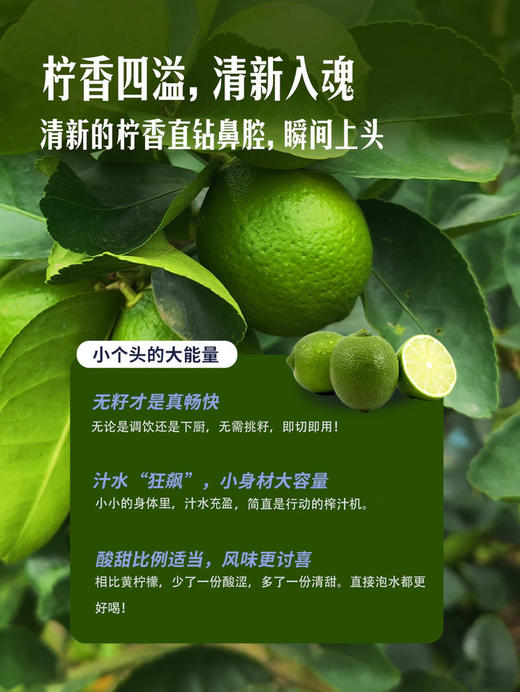 MM 山姆 无籽青柠檬 1.5kg 商品图4