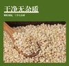 豫粮优选·五谷粮品白高粱米1500g  色泽光亮 颗粒饱满 商品缩略图3