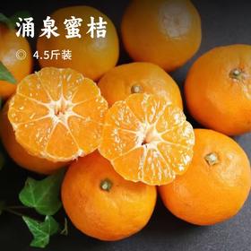 涌泉蜜桔 | 来自中国无核蜜桔之乡 果皮细薄 肉质脆嫩化渣 酸甜多汁高山果园