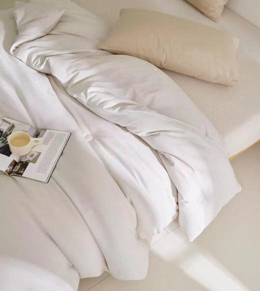 LHX 2593 无印风蚕丝＋蚕丝棉被 商品图11