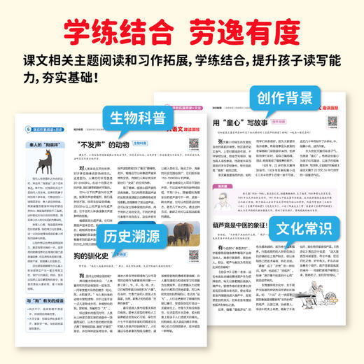 学习周报大语文趣读画报 期刊杂志人教版单元练习册配套教材同步扩展阅读一二三四五六年级上册小学生语文知识点大全每日一练【悦刊图书】 商品图3