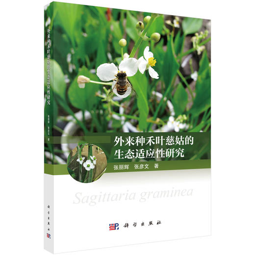 外来种禾叶慈姑的生态适应性研究 商品图0