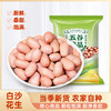 豫粮优选·五谷粮品白沙花生 多规格任选 籽粒圆润饱满 光滑鲜嫩 商品缩略图6