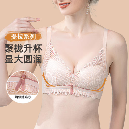 雅黛俪小胸聚拢显大文胸性感甜美蕾丝内衣高侧比收副乳胸罩 商品图1