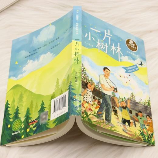 一片小树林 商品图3