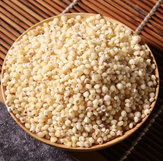 豫粮优选·五谷粮品白高粱米1500g  色泽光亮 颗粒饱满 商品图4