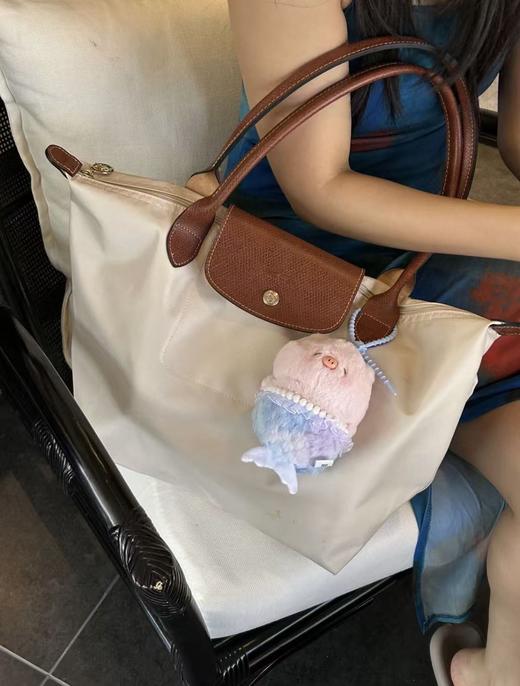 经典款大中小单肩包来啦！龙X饺子包！ 商品图13