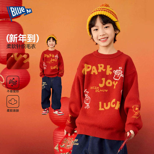 儿童毛衣冬季男童针织衫冬装男孩女童毛线衣儿童拜年服新年衣服冬Z5DBN014【2601年服专场】 商品图0