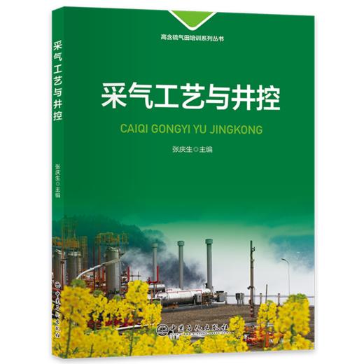 采气工艺与井控 商品图0