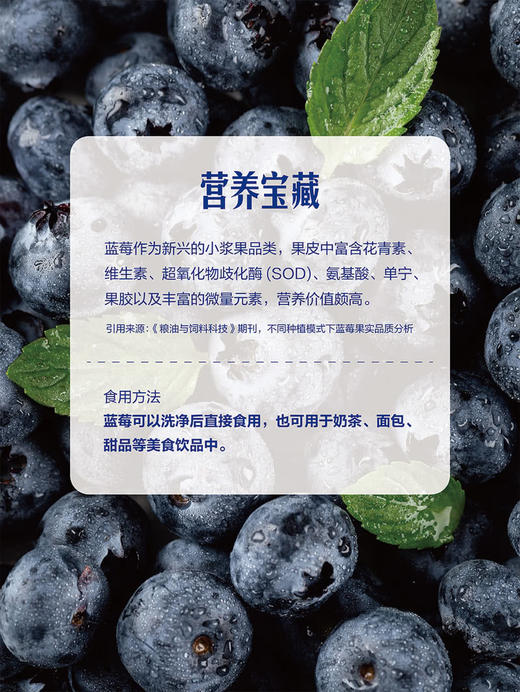 MM 山姆 18mm+秘鲁蓝莓 510g 商品图5