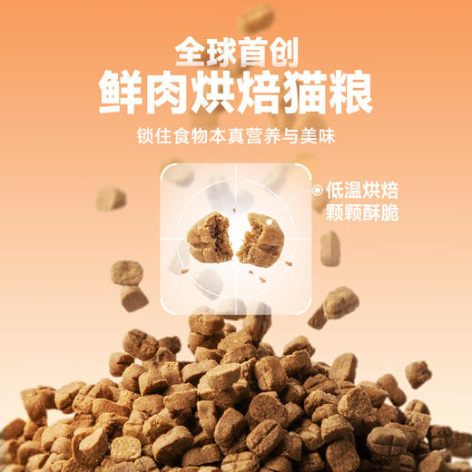 鲜朗 烘焙全价猫粮（海洋鱼配方）2kg 商品图2