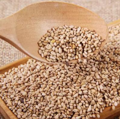 豫粮优选·熟白芝麻250g  传统炒制 颗粒饱满 香浓酥脆 商品图5