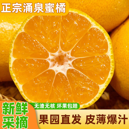 涌泉蜜桔蜜桔橘子新鲜水果 商品图0