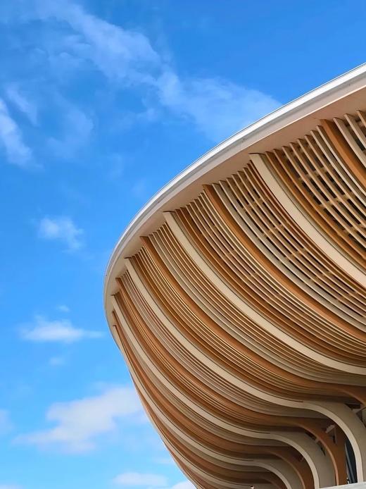 【五月天演唱会】南沙大湾区体育文化中心↔ 广州/深圳/东莞/中山/珠海多地接送 商品图2