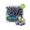 MM 山姆 18mm+秘鲁蓝莓 510g 商品缩略图0