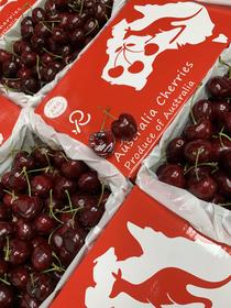 澳洲新南威尔士州红袋鼠果园车厘子