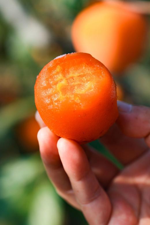 富平流心冰柿 商品图6