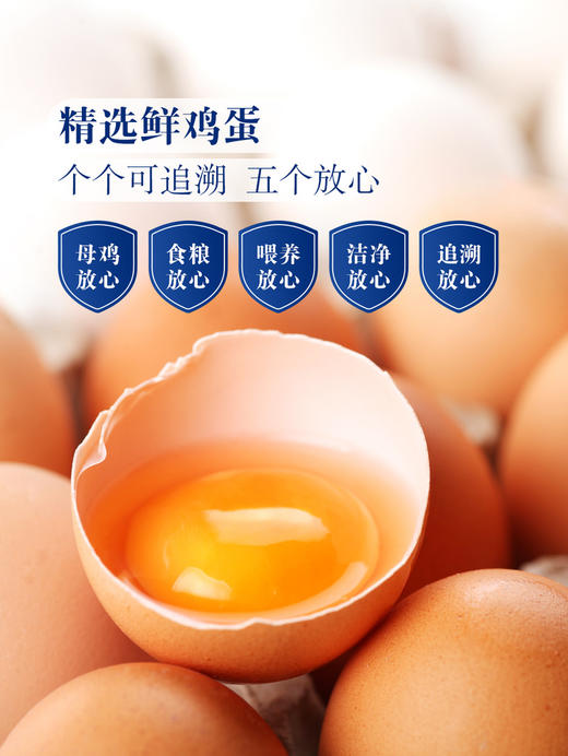 聚便利 X 山姆 Member's Mark 精选鲜鸡蛋 1.59kg（30枚） 商品图3