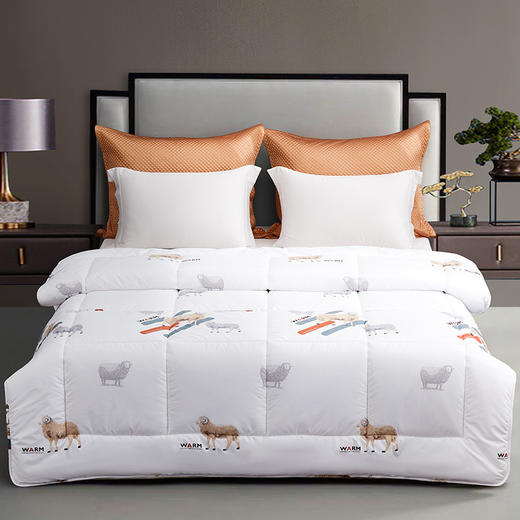 梦洁 暖馨羊毛厚被（2000G） 商品图14