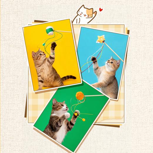 旺仔逗猫棒 商品图4