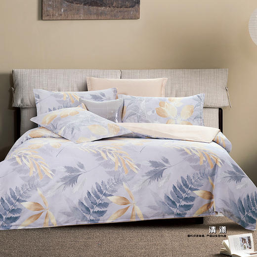 鑫缘 全棉印花四件套 DMJ1418 商品图2